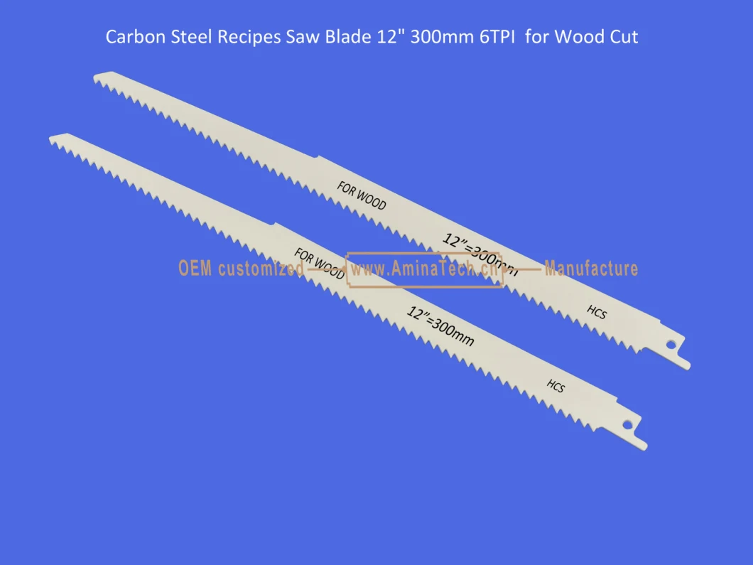 Carbon Steel Recipes Saw Blade 12